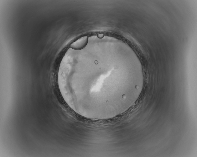 X0000115091208200911241206