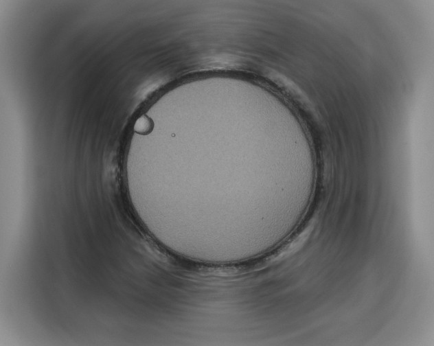 X0000115091210200911241206
