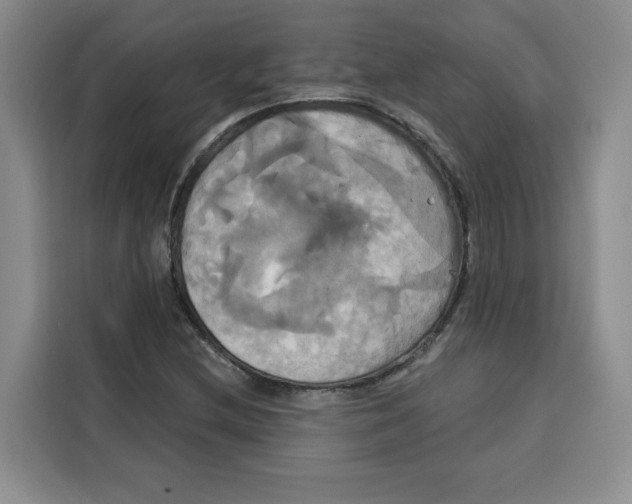 X0000115091212200911241206