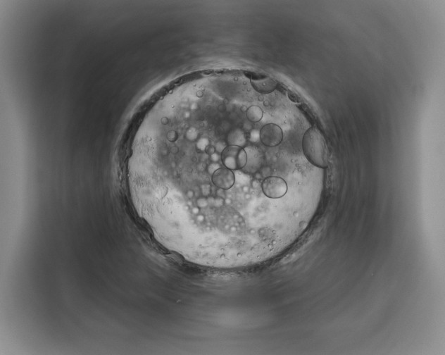 X0000115091215200911241207