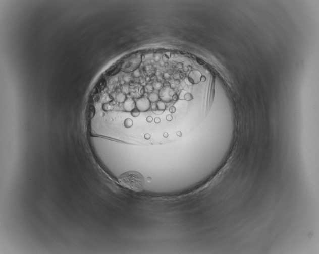 X0000115091216200911241207