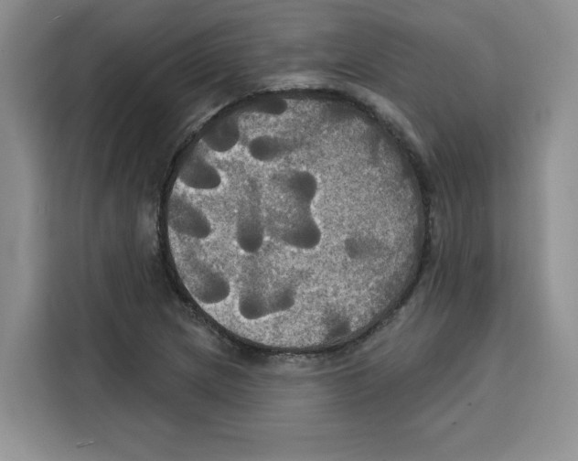 X0000115091217200911241207