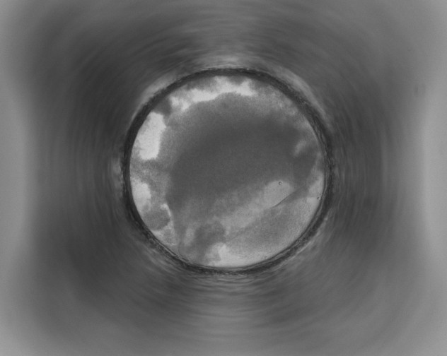 X0000115091218200911241207