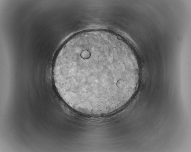X0000115091220200911241207