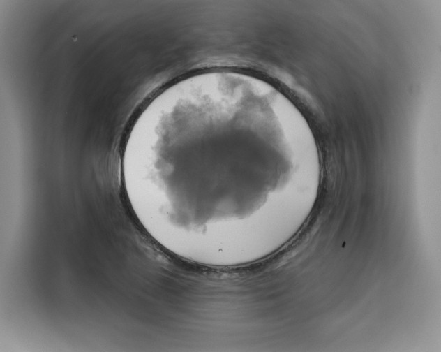 X0000115091221200911241207