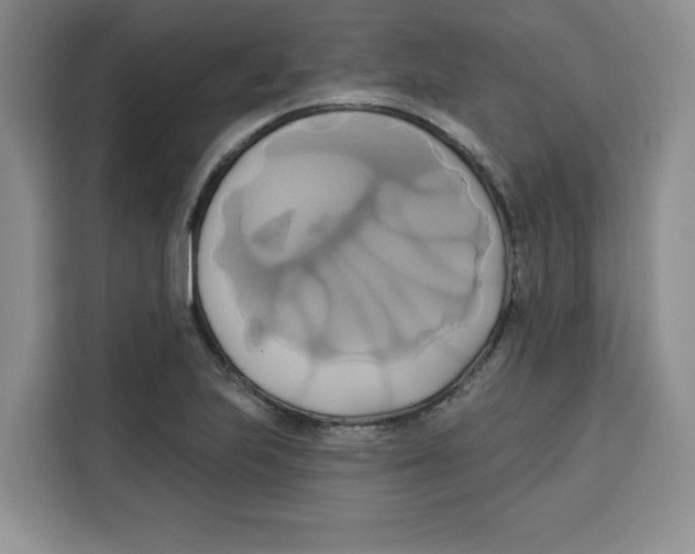 X0000115091223200911241207