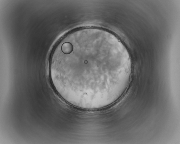 X0000115091224200911241207