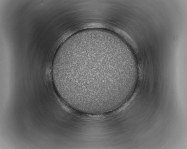 X0000115091225200911241207