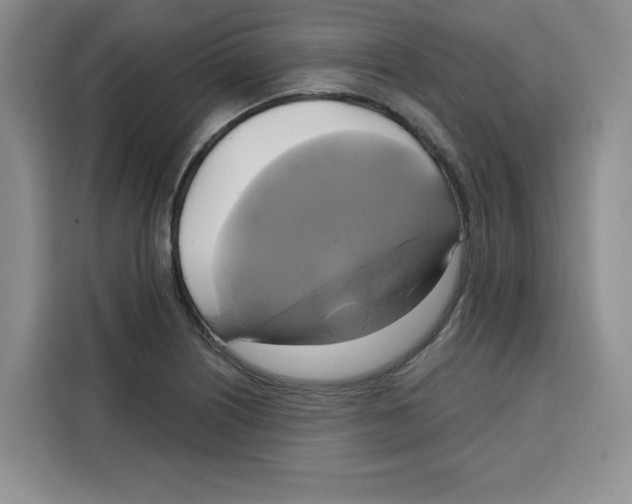 X0000115091226200911241207