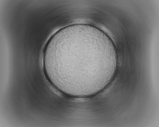 X0000115091227200911241207