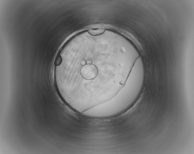 X0000115091228200911241207