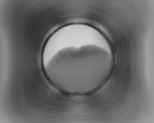 X0000115091229200911241207