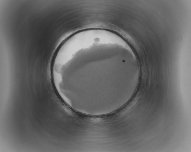 X0000115091230200911241207