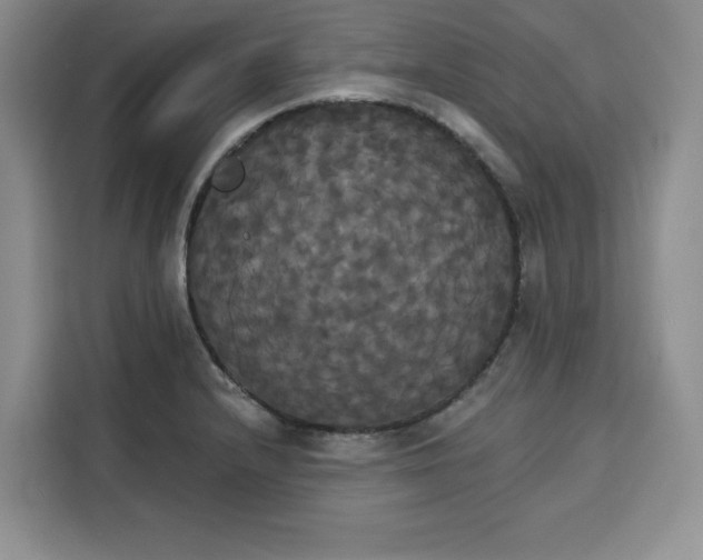 X0000115091232200911241207
