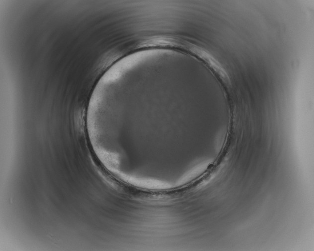 X0000115091233200911241207