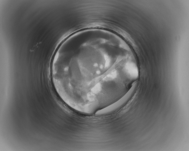 X0000115091234200911241207