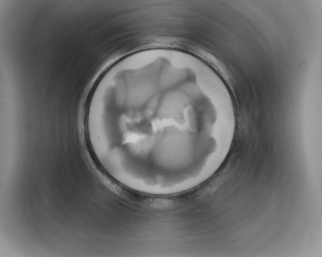 X0000115091235200911241207