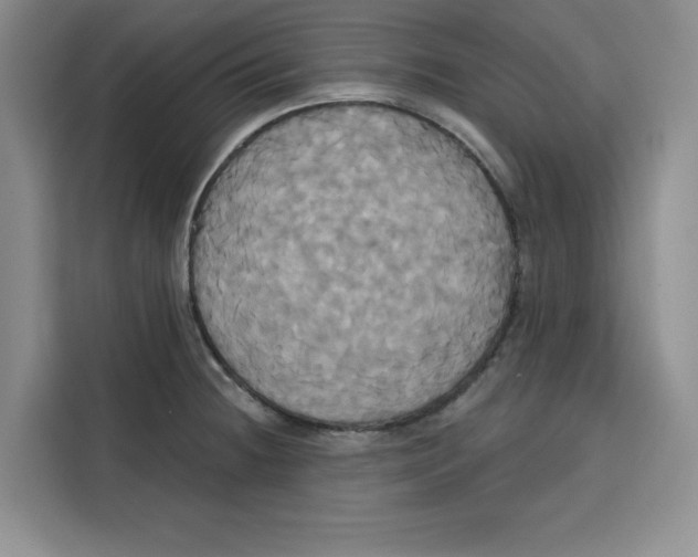 X0000115091236200911241207