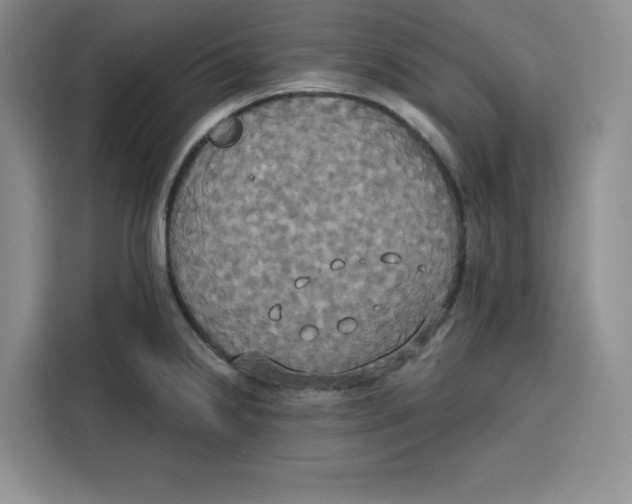 X0000115091238200911241207