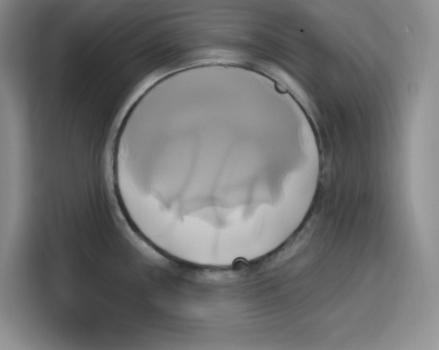 X0000115091243200911241207