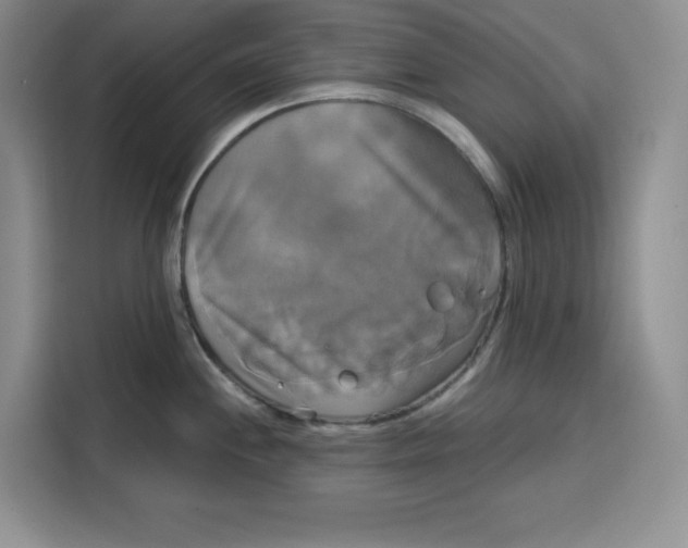 X0000115091244200911241207