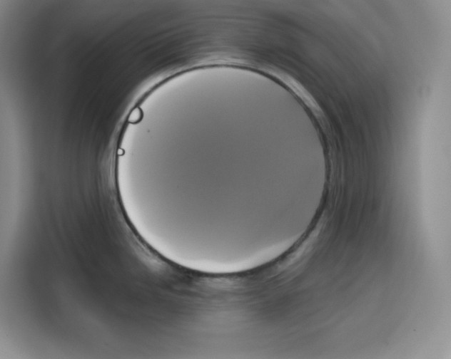 X0000115091246200911241207