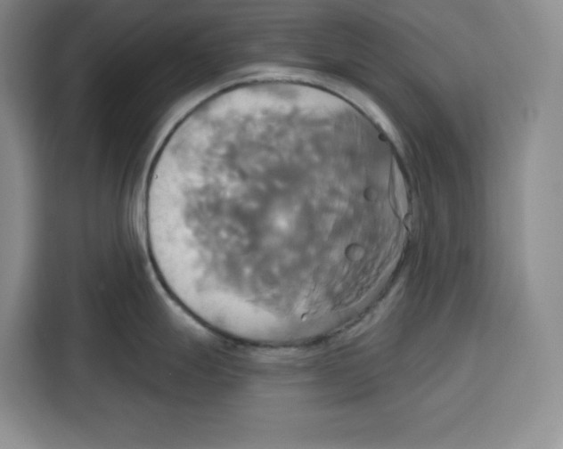 X0000115091247200911241207
