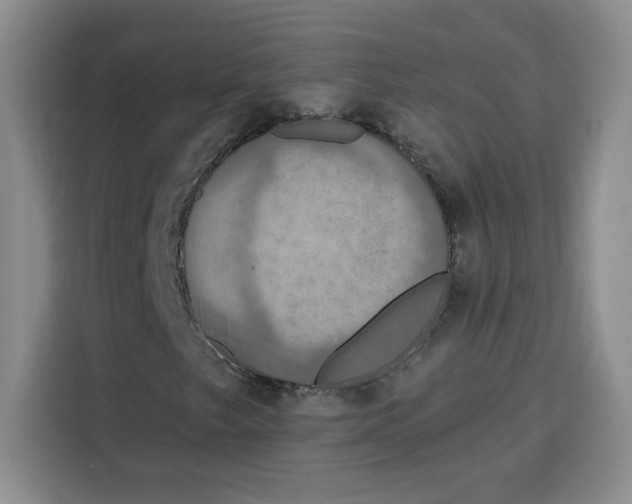 X0000115091249200911241206