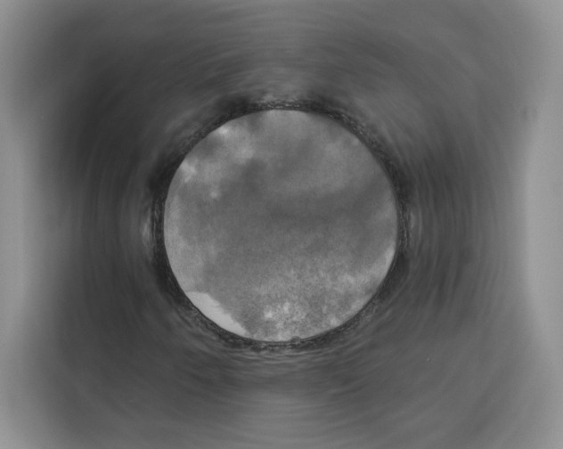 X0000115091250200911241206