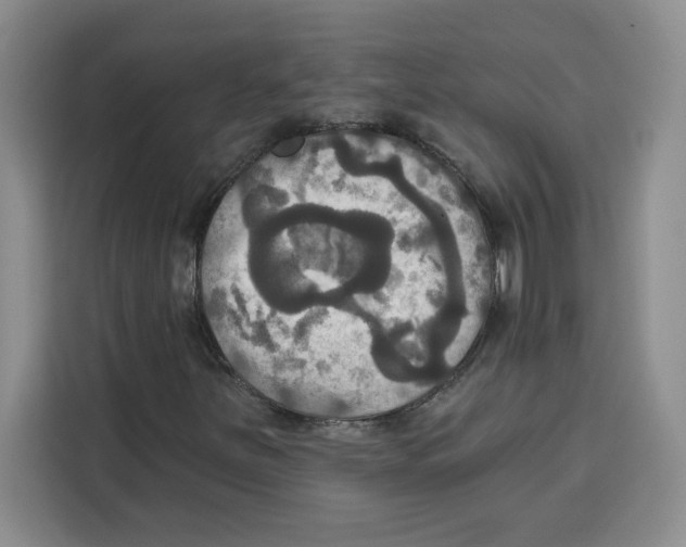 X0000115091251200911241206