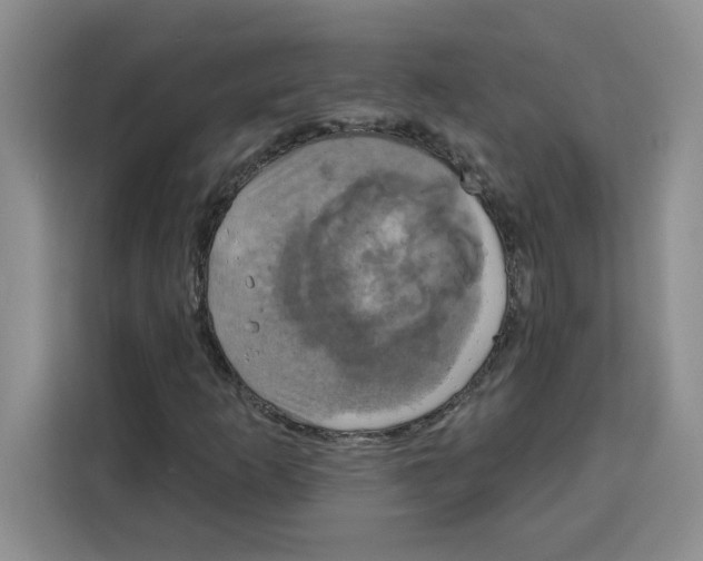 X0000115091253200911241206
