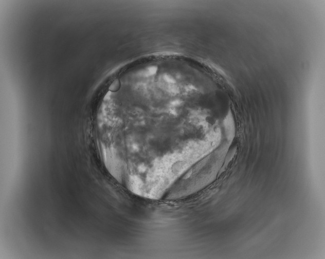 X0000115091255200911241206