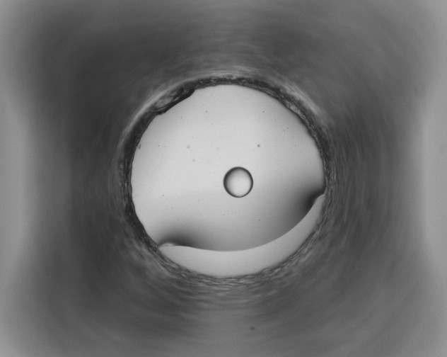 X0000115091256200911241206
