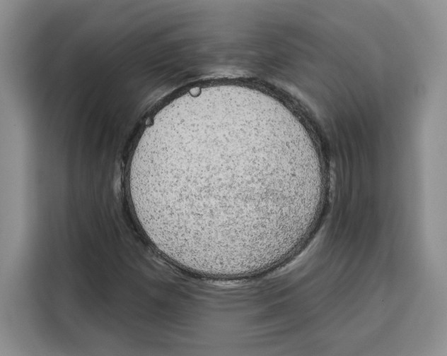 X0000115091257200911241206