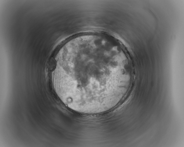 X0000115091259200911241206