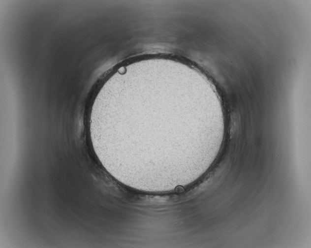 X0000115091261200911241206