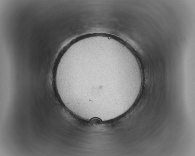 X0000115091264200911241206