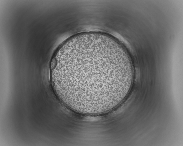 X0000115091269200911241206