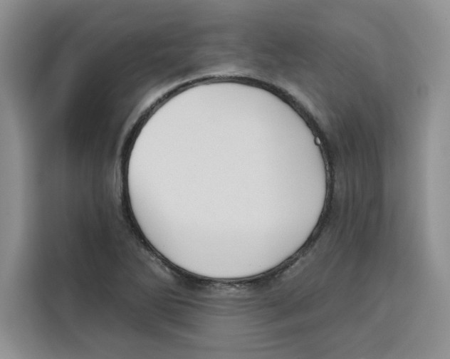 X0000115091270200911241206