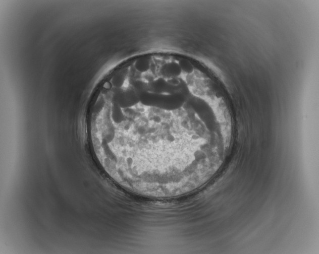 X0000115091271200911241206