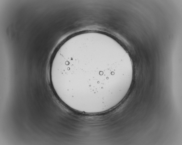 X0000115091272200911241206