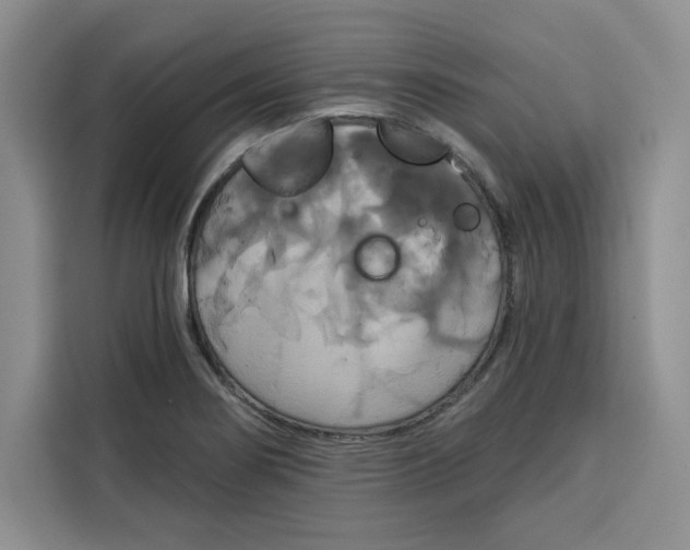 X0000115091274200911241206