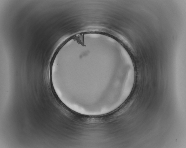 X0000115091275200911241206