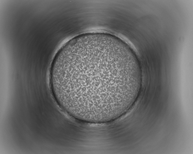 X0000115091277200911241206