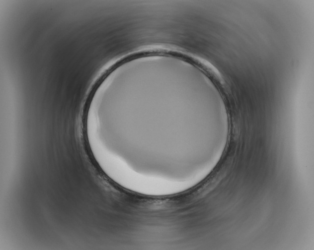 X0000115091279200911241206