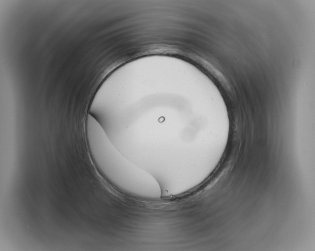 X0000115091281200911241206