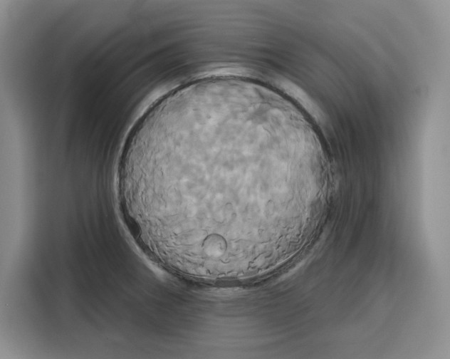 X0000115091282200911241206