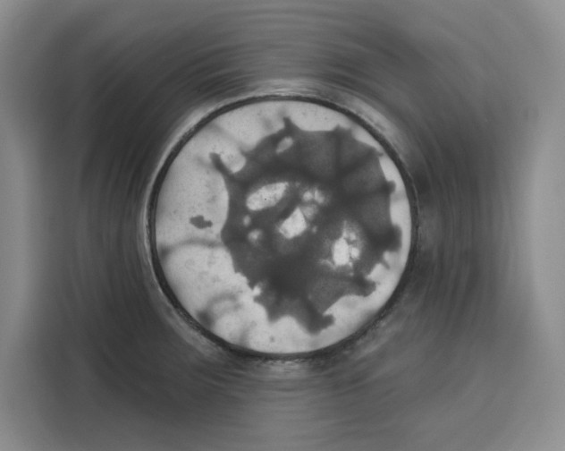 X0000115091283200911241206