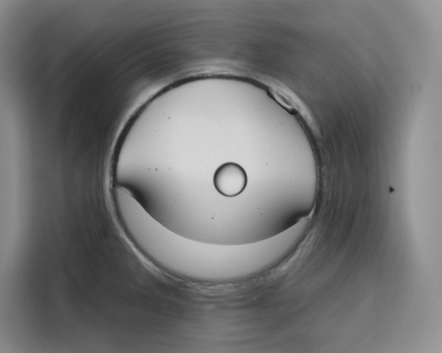 X0000115091285200911241206