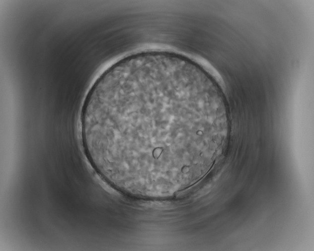 X0000115091287200911241206